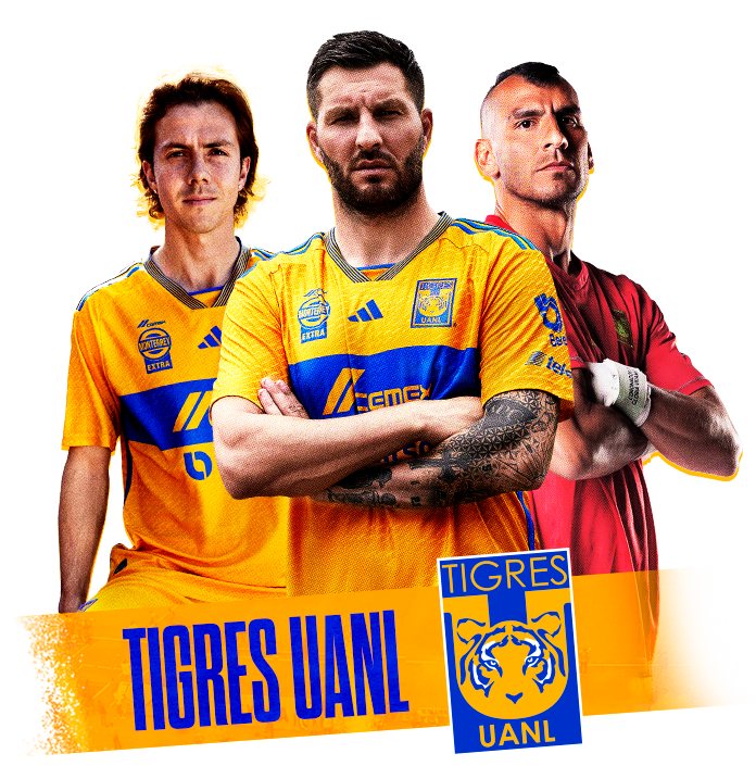Caso Tigres